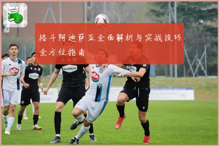 格斗阿迪萨亚全面解析与实战技巧全方位指南