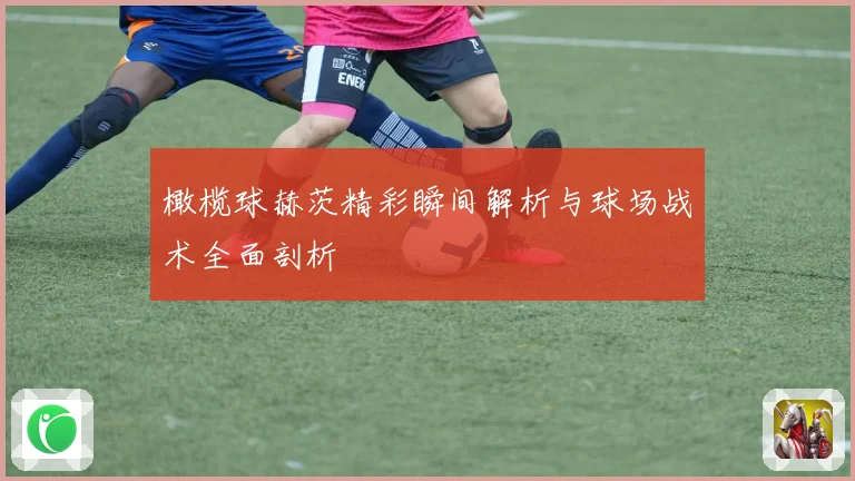 橄榄球赫茨精彩瞬间解析与球场战术全面剖析